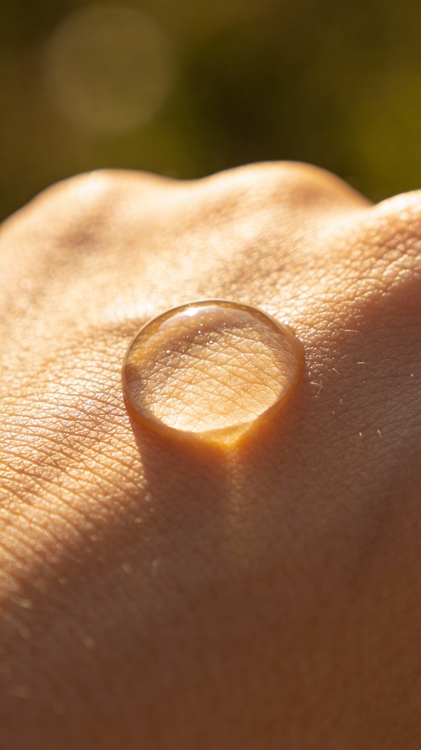 sunscreen droplet on back of hand, golden morning light