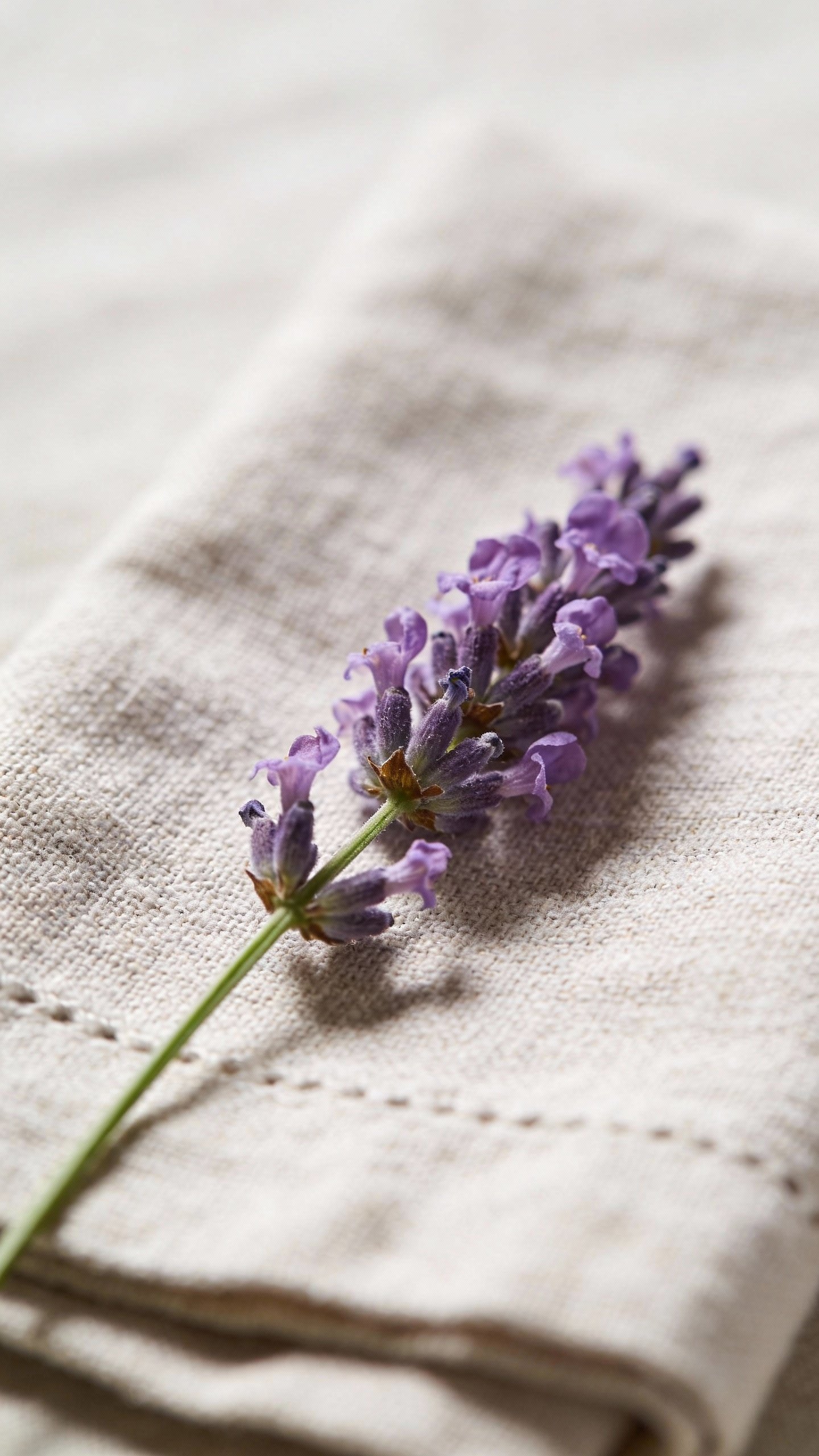 closeup of a single lavender sprig on linen napkin