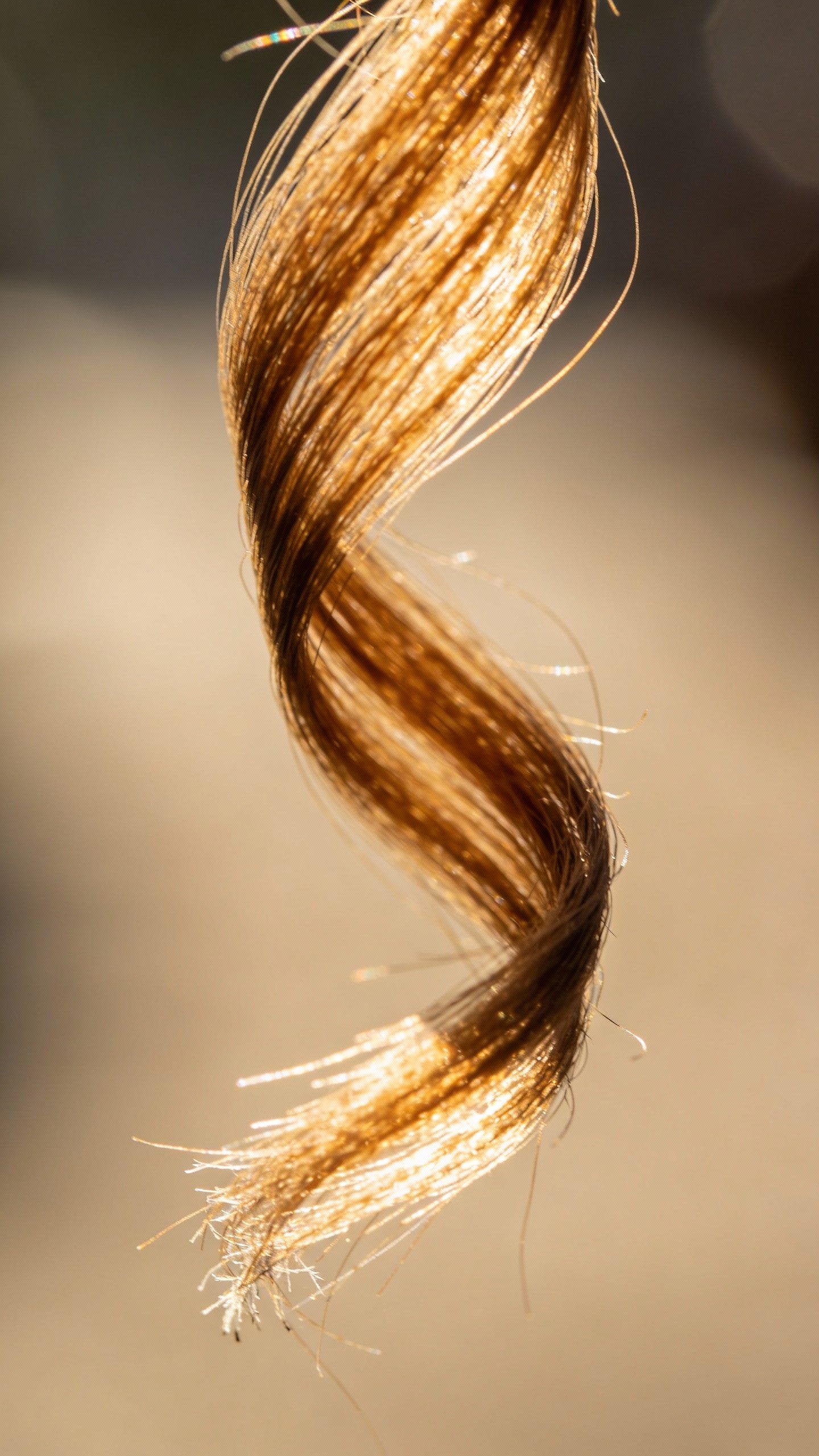 macro shot of curly hair strand losing curl pattern