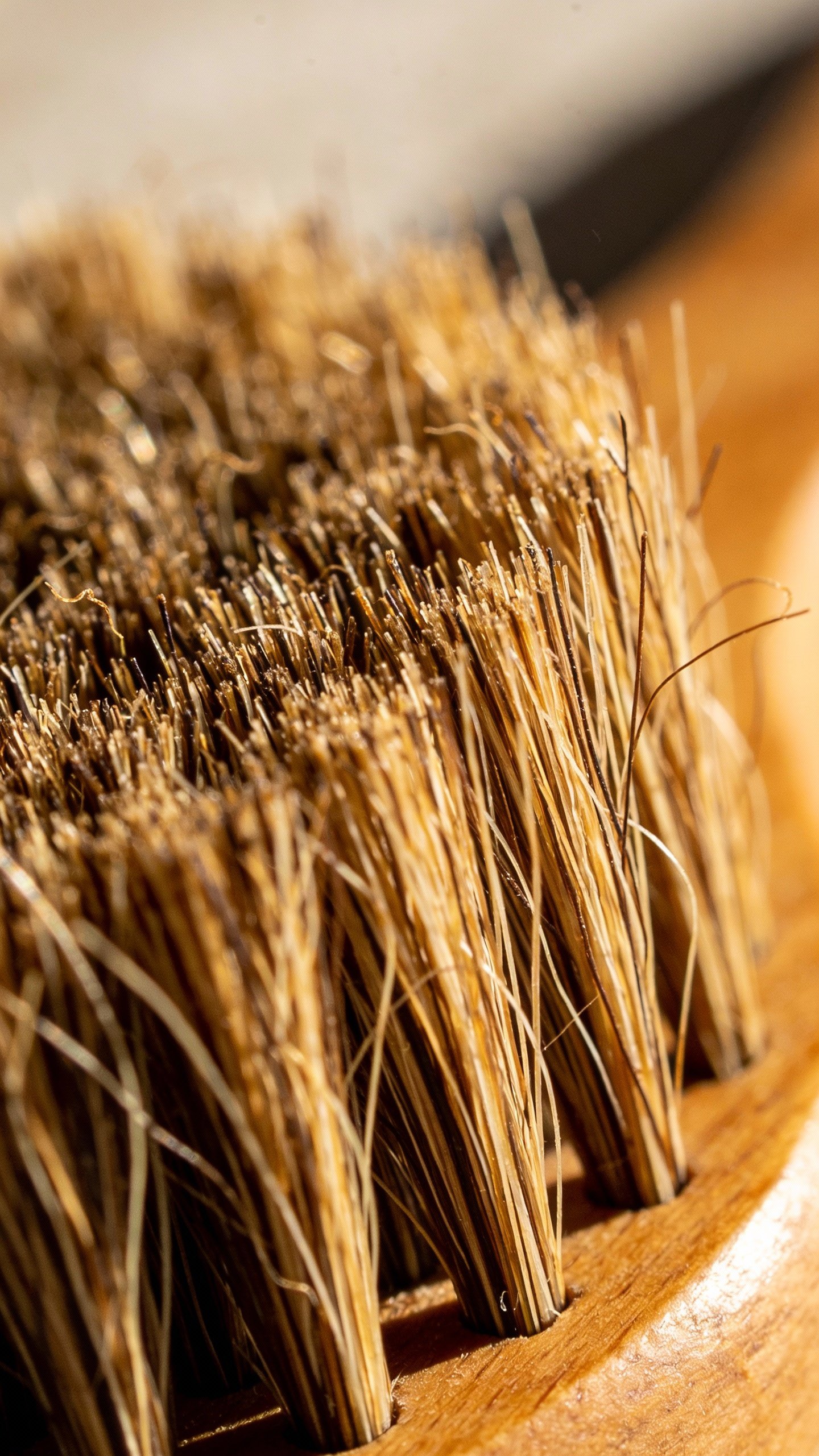 closeup boar-bristle brush with visible hair texture