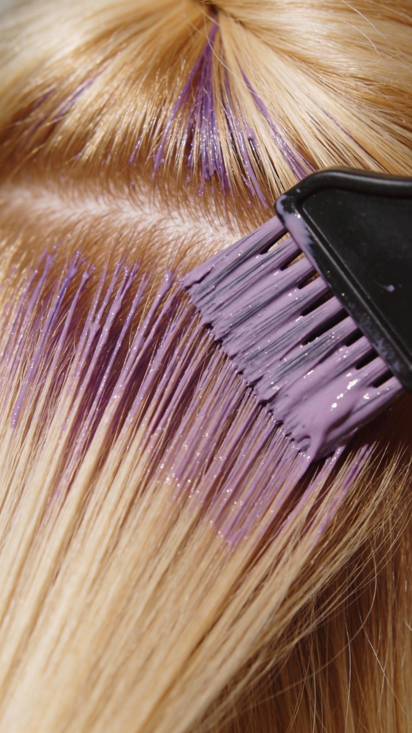 closeup blonde hair with purple toning mask brush