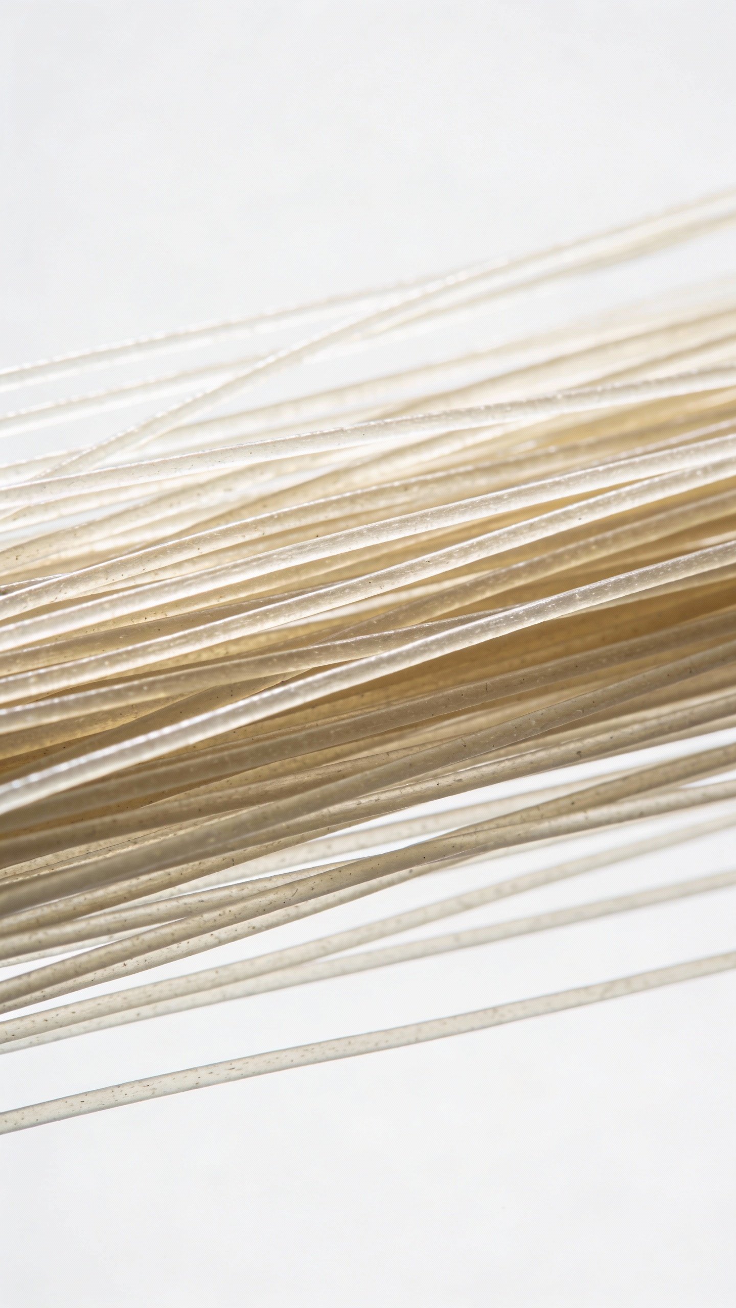 Fine straight strand test on white background, macro lighting
