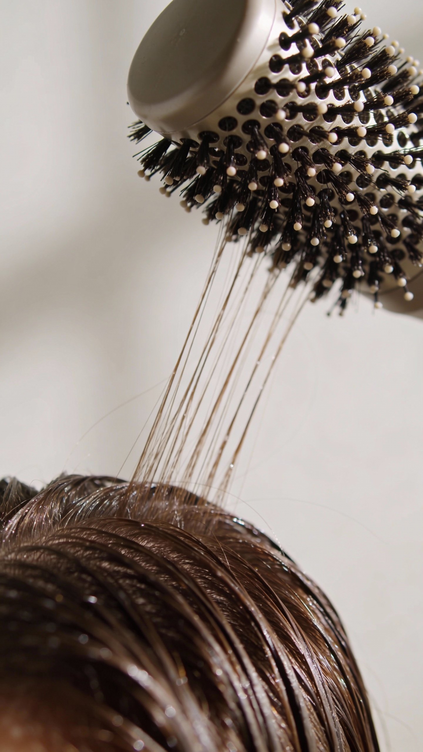 round brush lifting damp roots at crown, closeup